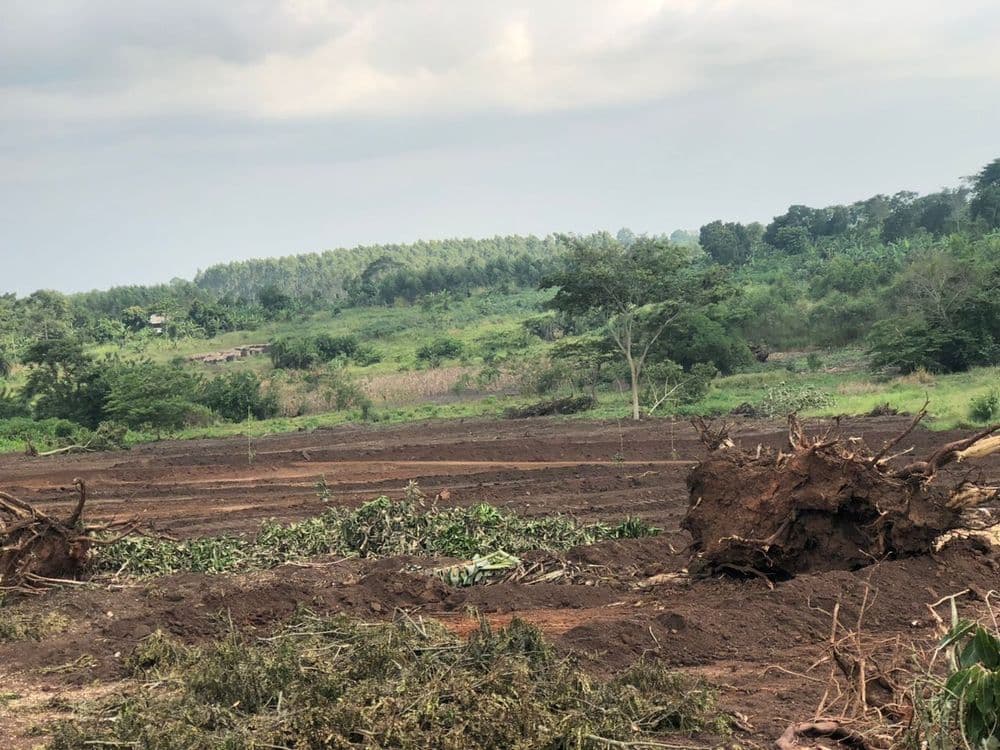 Kalaggala Estate