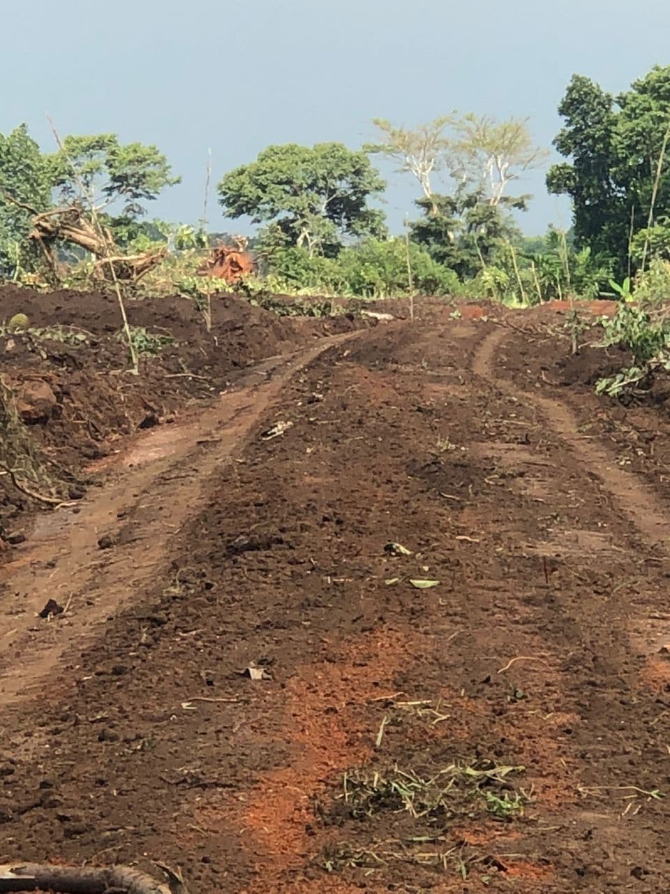 Kalaggala Estate
